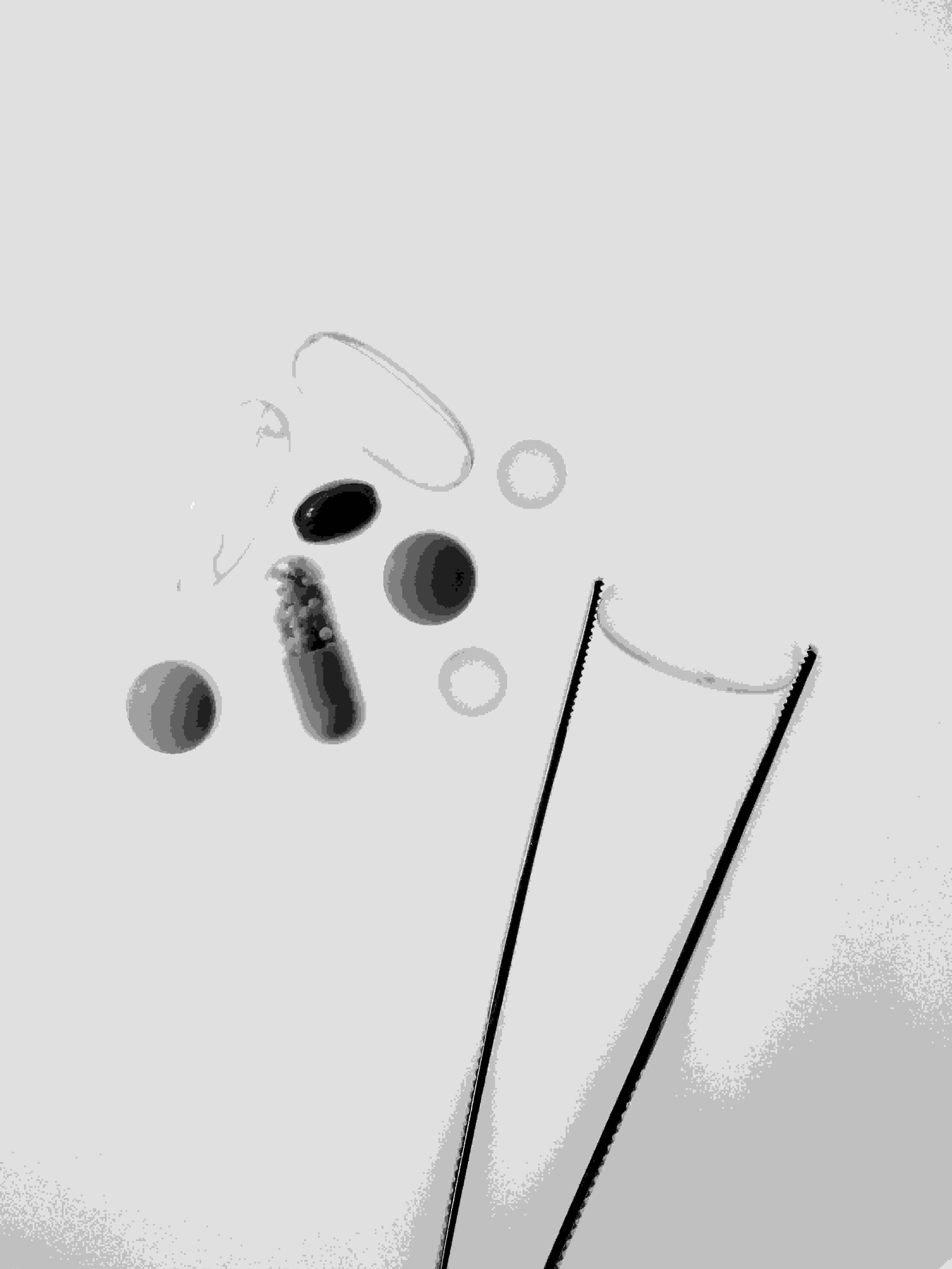 Dr. Penatzer: 10. 01.